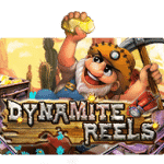 Dynamite Reels